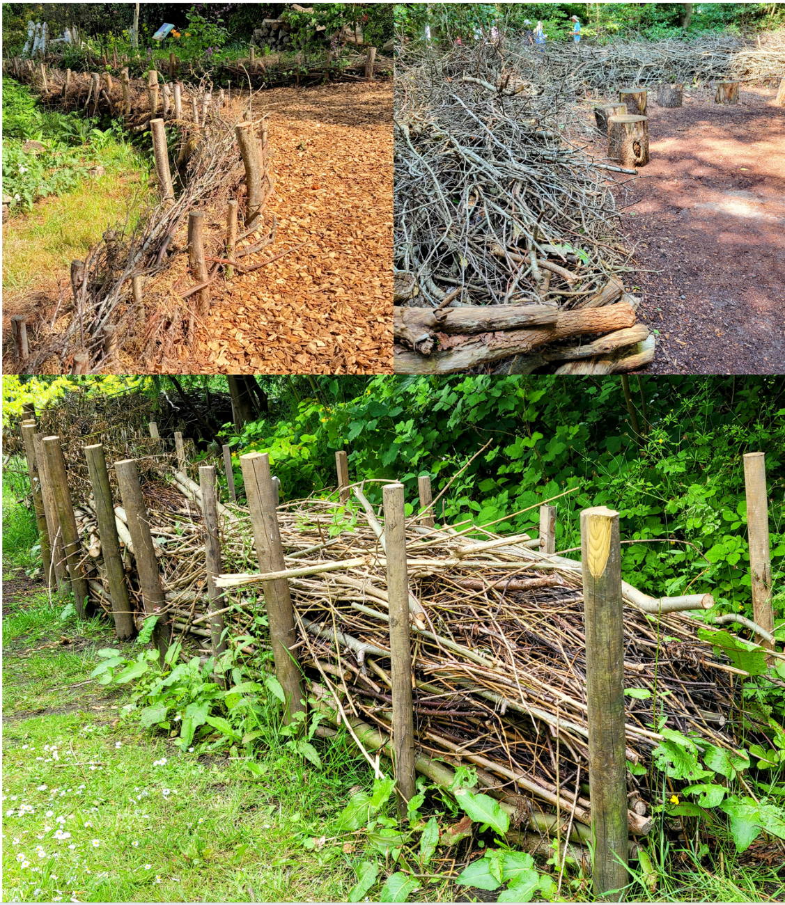 dead hedge