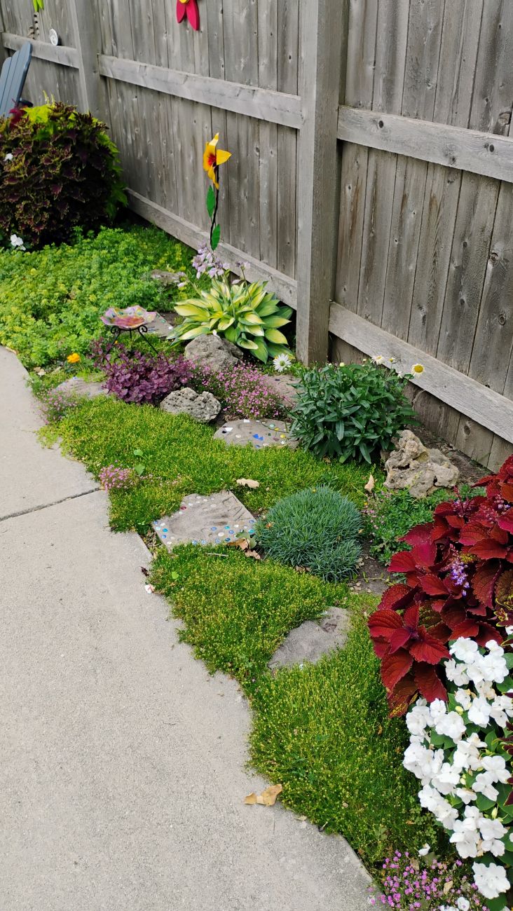 groundcovers