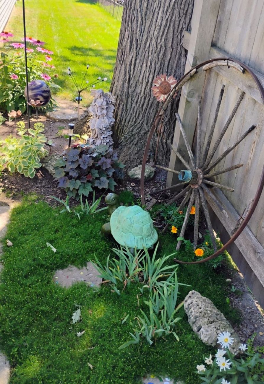 ground covers, garden ornaments