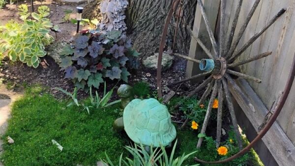 A Ground-Cover Garden in Hartford, Wisconsin - Fine Gardening