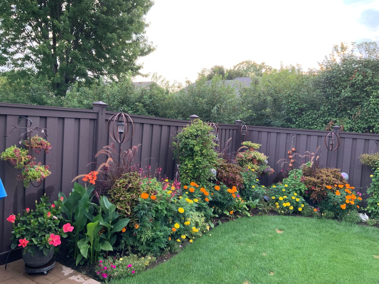 summer border, annuals, annual garden, marigolds, containers,