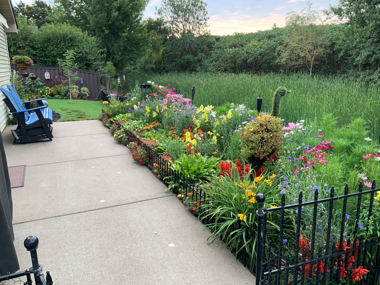 annual bed, garden border, annuals, living ornament