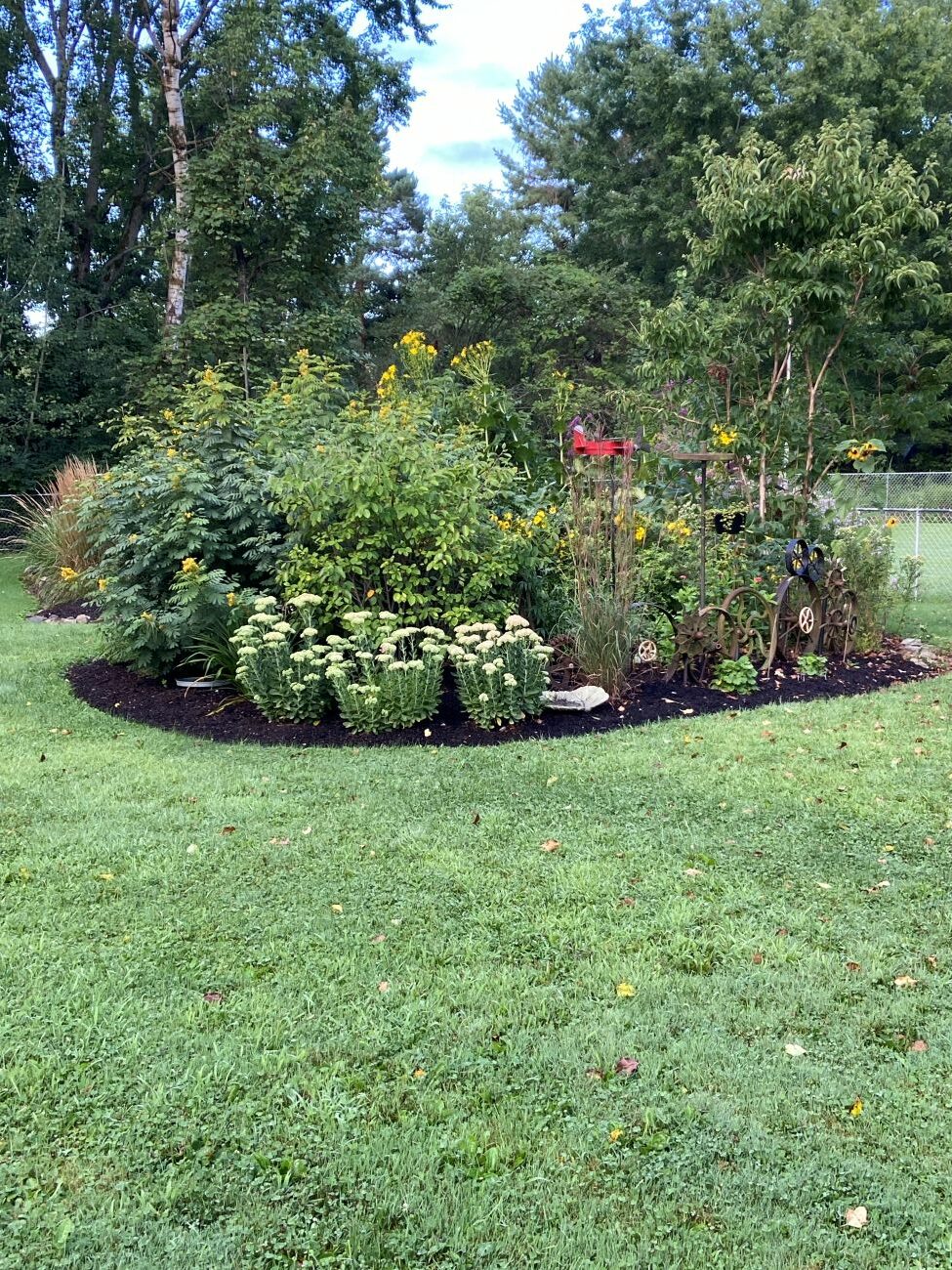 native pollinator garden, backyard garden, late-summer perennials, Ohio