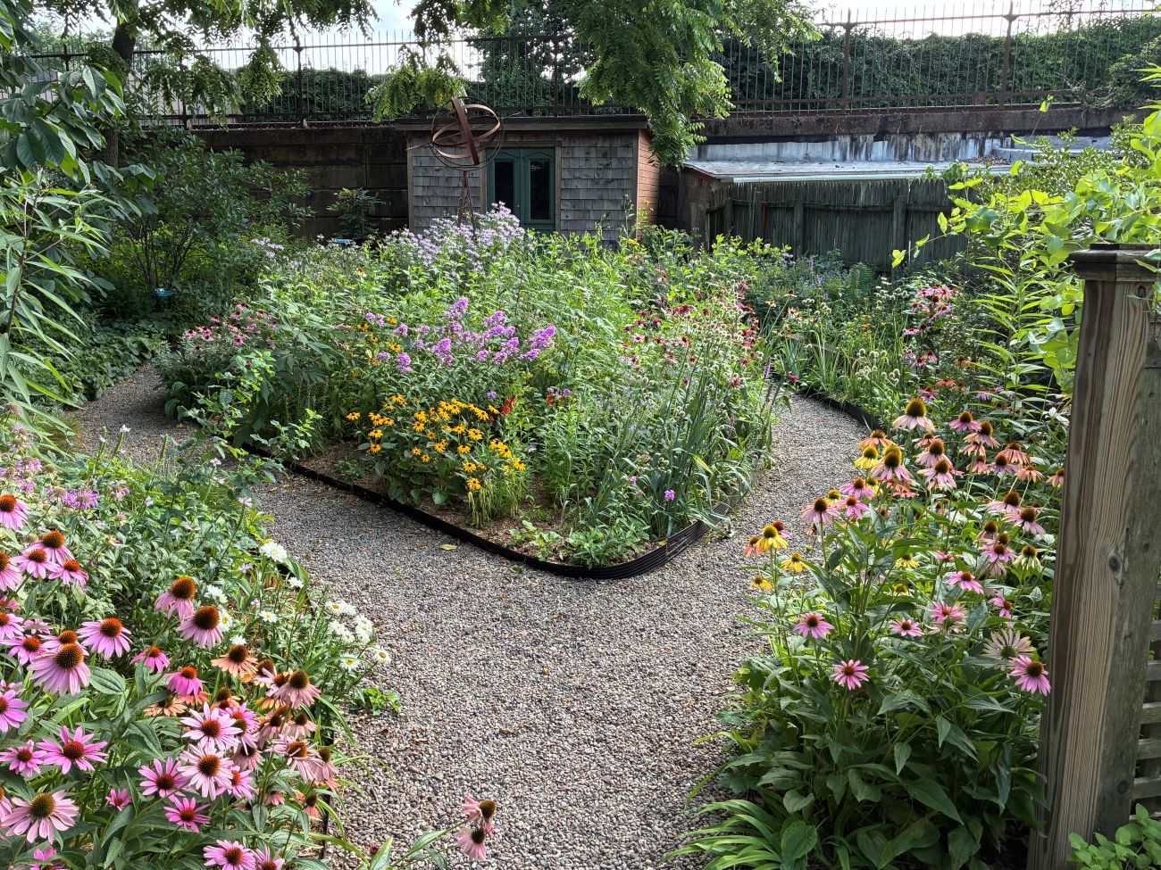 lawn-free perennial garden, coneflowers, gravel garden path, Philadelphia