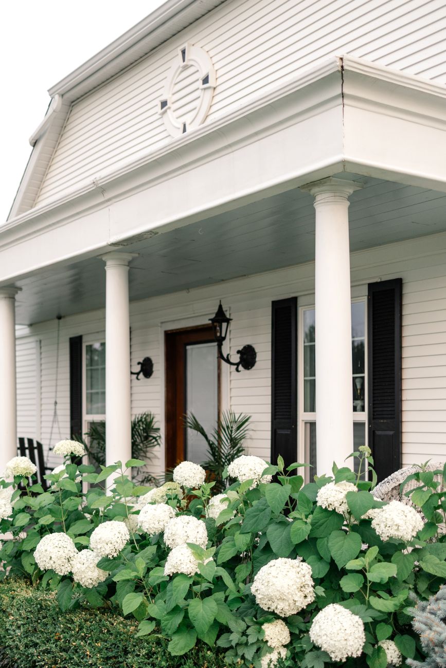 white Dutch Colonial porch bordered by blooming hydrangeas