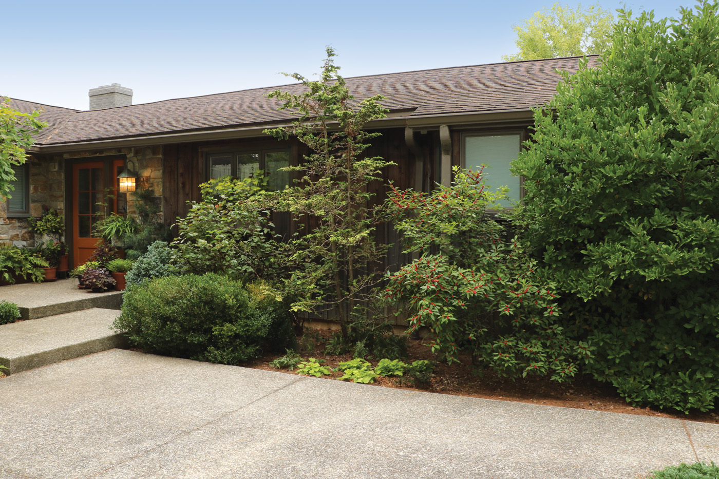 Trees and shrubs on path to door in front entry