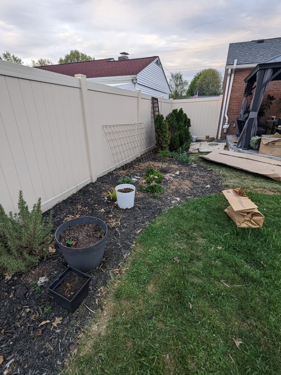 Early backyard garden bed with sheet mulch, young plants, pots, and trellis