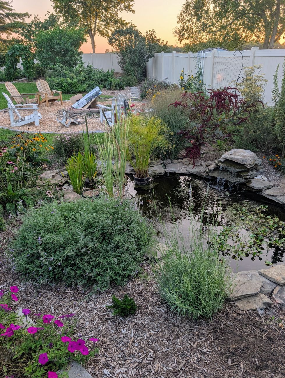 Enlarged backyard pond surrounded by new perennial plantings and paths