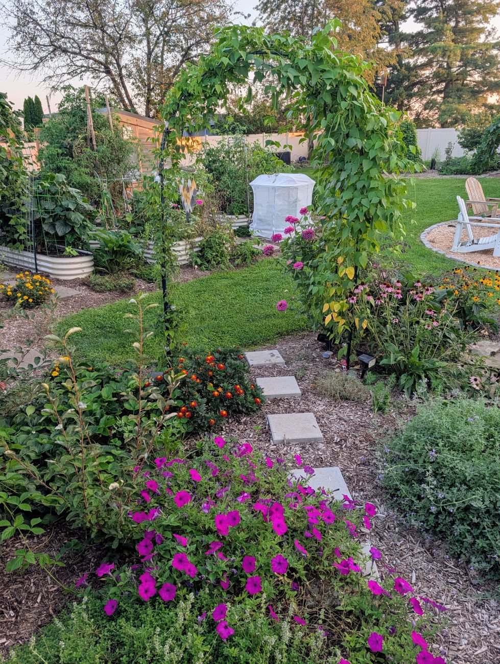 Garden arch covered in edible vines beside path and dense perennial plantings