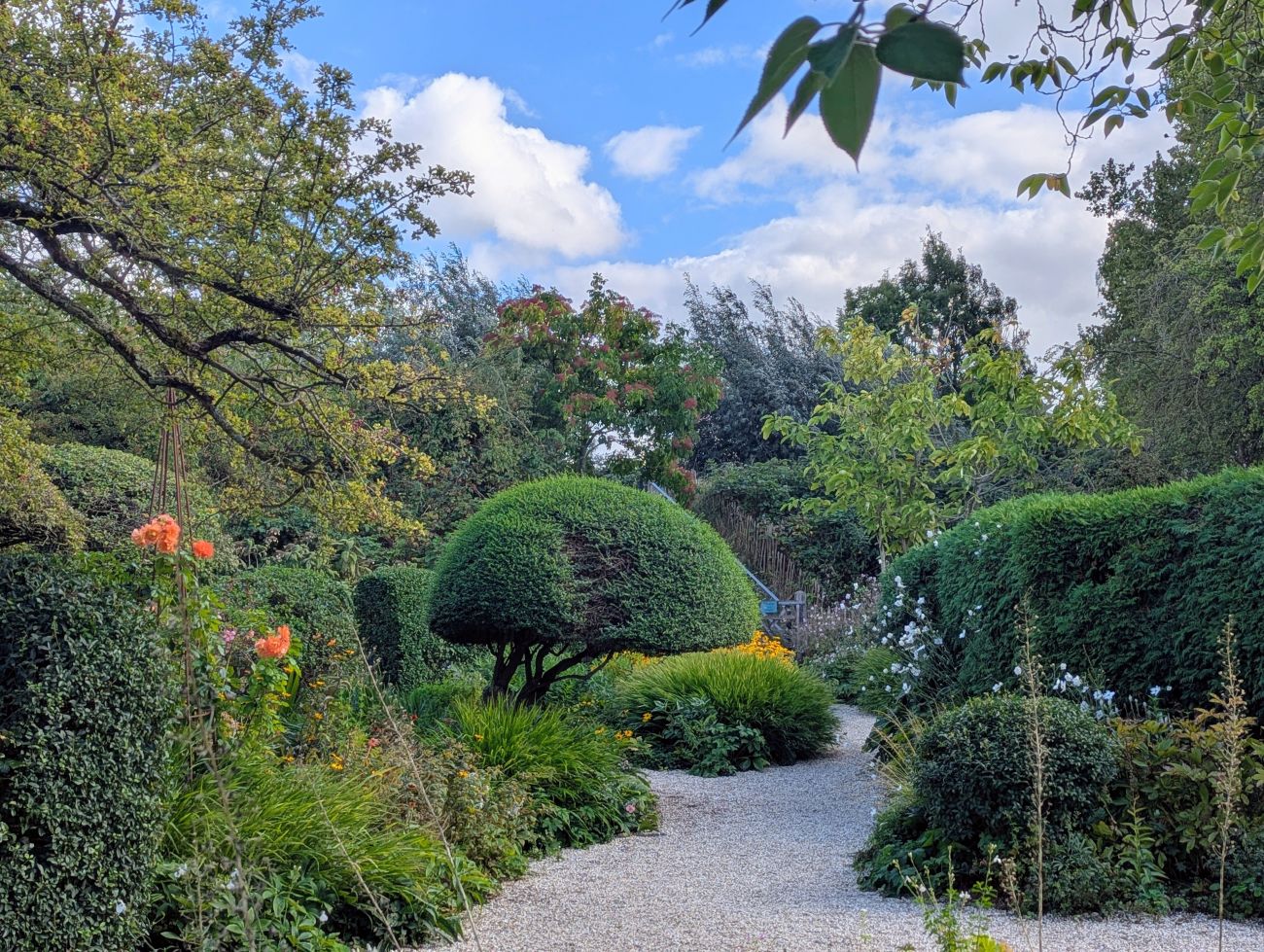 Clipped hedges and perennial borders along a winding gravel path
