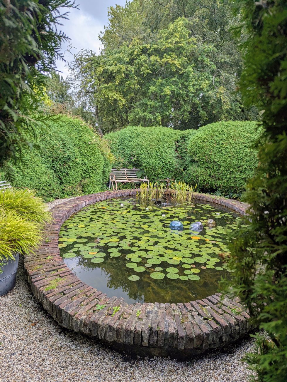Oval brick-edged pond surrounded by a tall Thuja hedge