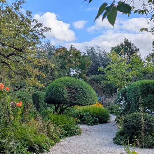 GPOD on the Road: Discovering De Theetuin in Weesp - Fine Gardening