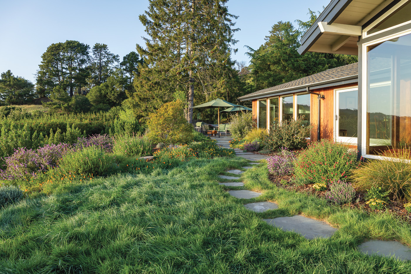 No mow lawn with flagstone path