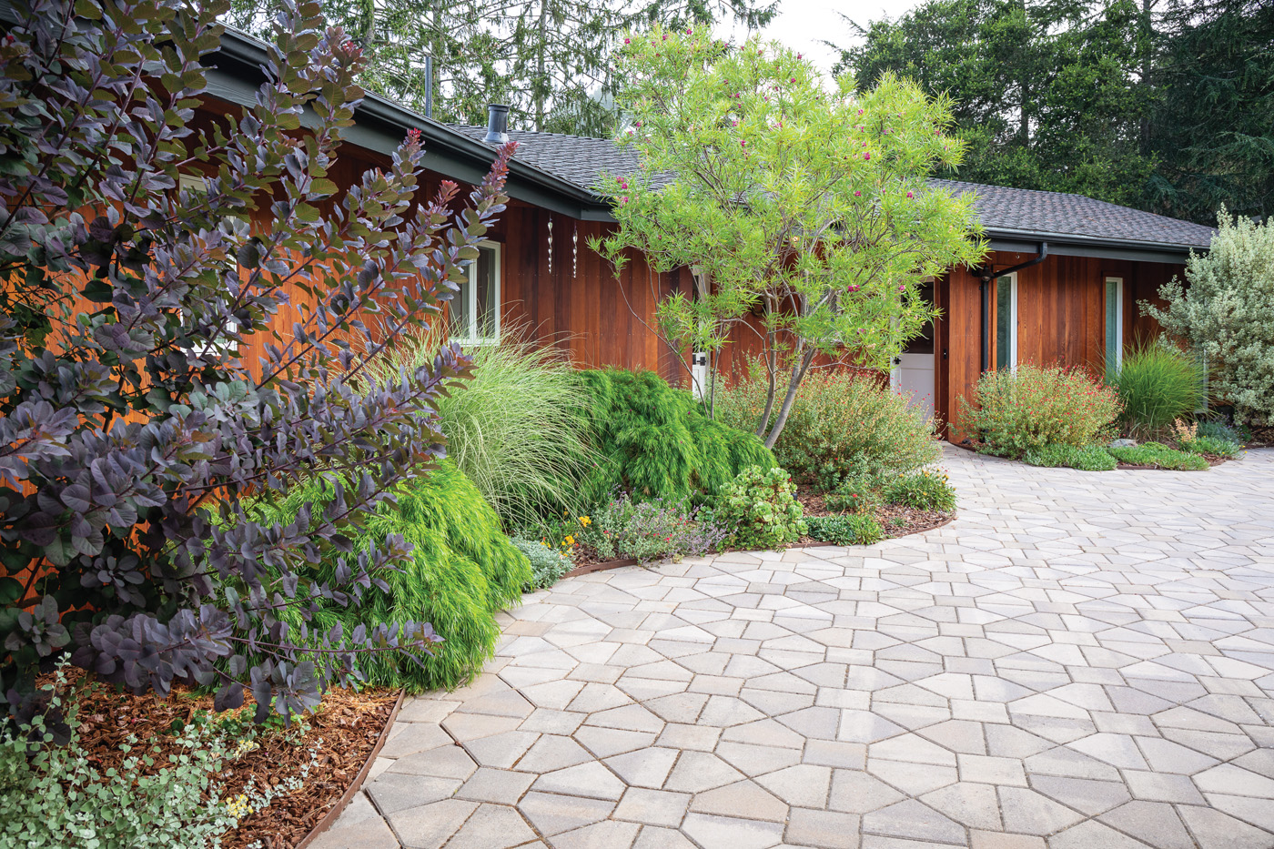 Front landscaping with flowering shrubs and California natives