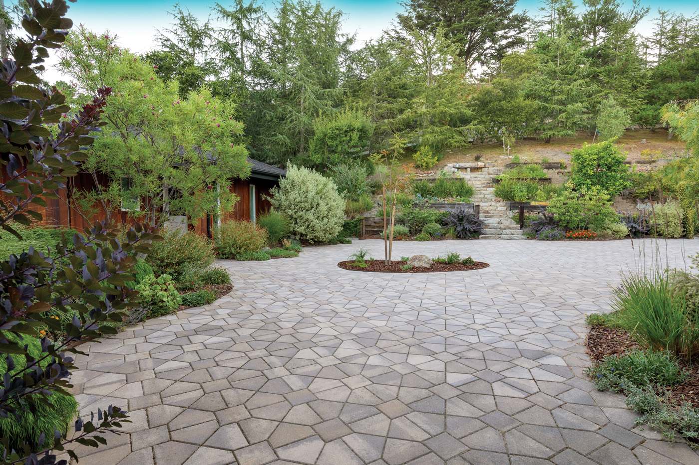 Driveway and hillside plantings