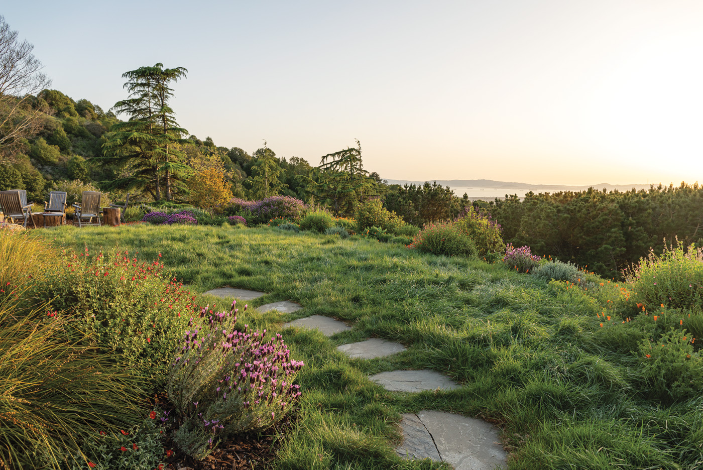 Mullen hillside broad view at dusk