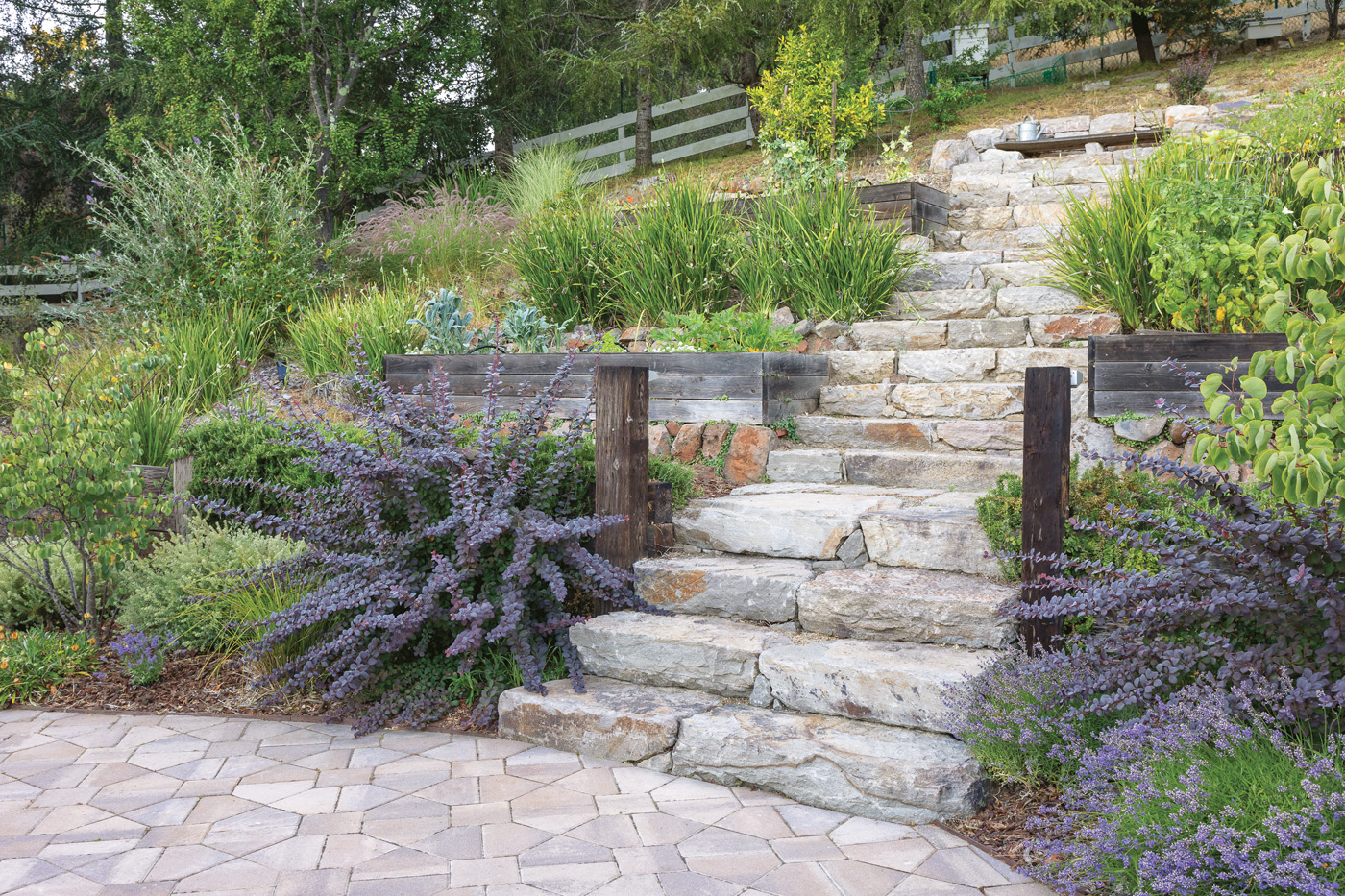 Edible hillside with stone stairs