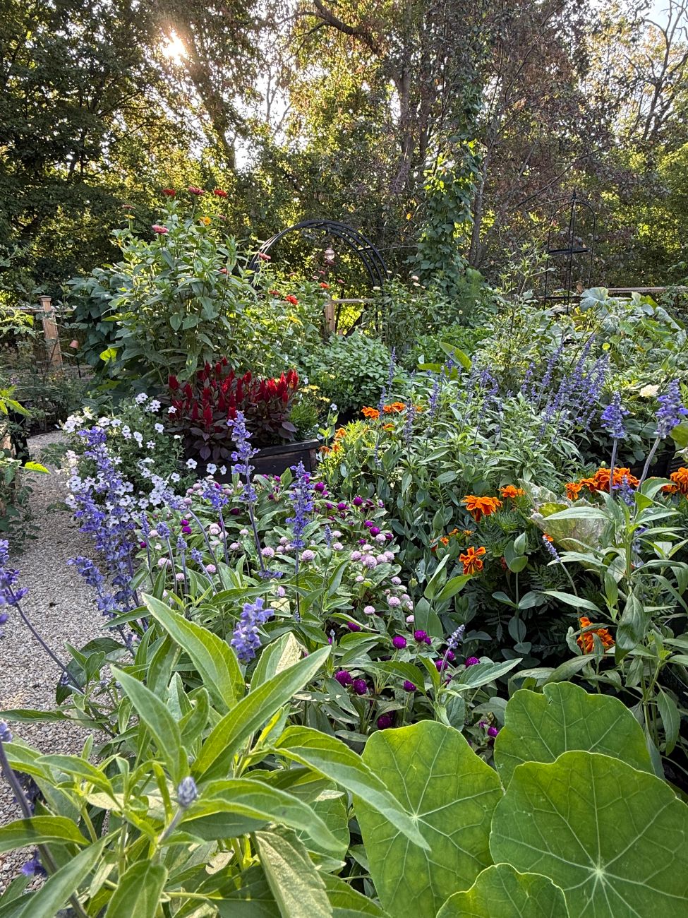 Amy’s Abundant Edible and Ornamental Garden in Minnesota - Fine Gardening