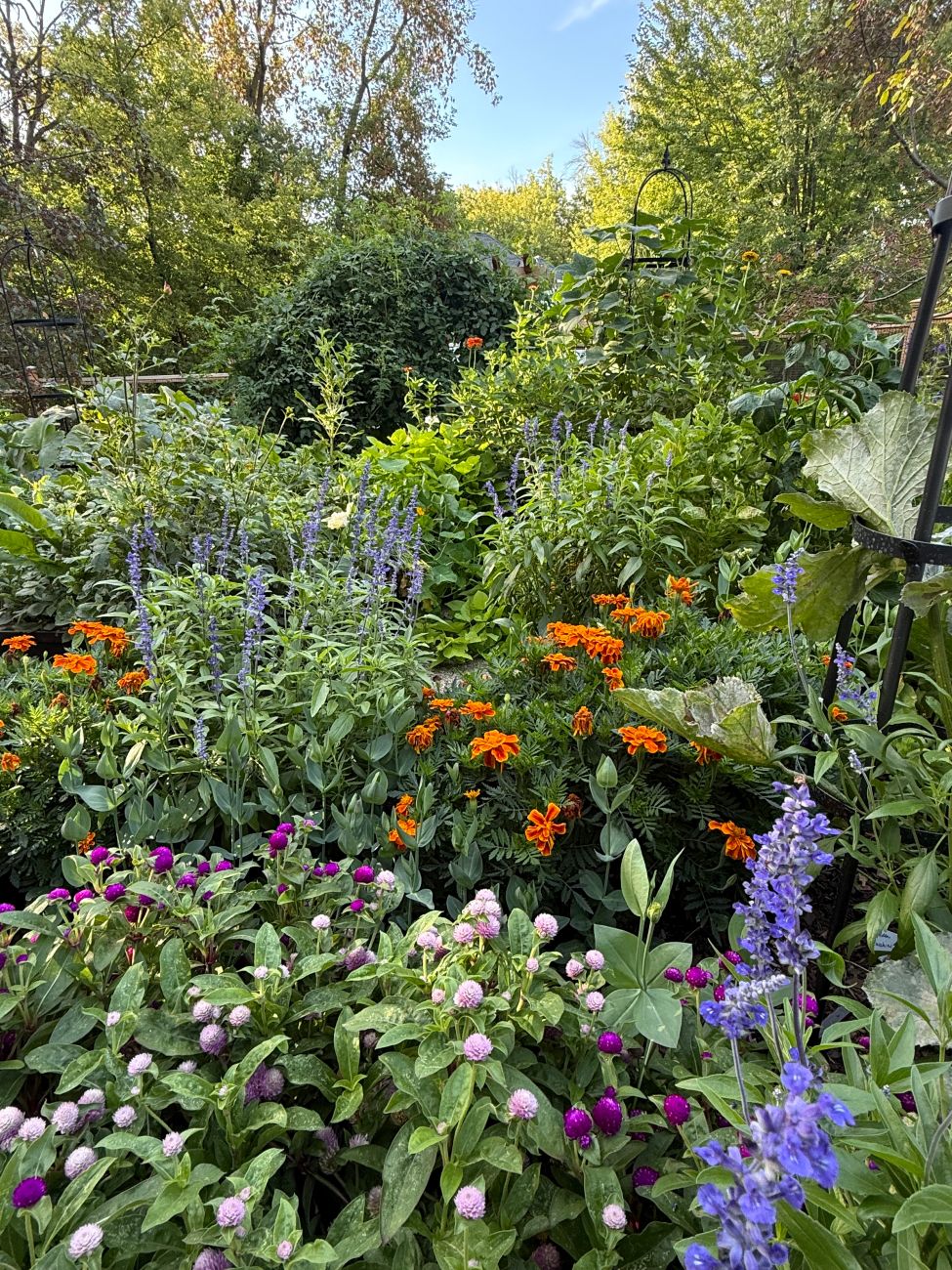 Raised beds densely planted with colorful flowers, herbs, and vegetables