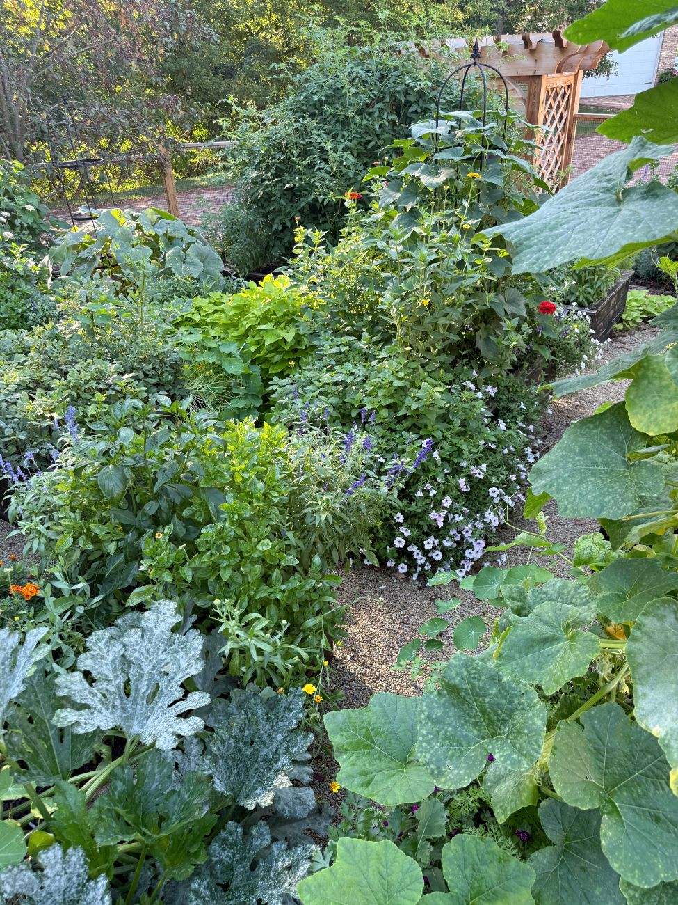 Lettuce, flowers, herbs, and climbing vegetables growing together in a raised bed