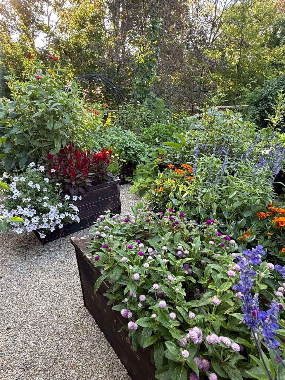 Purple, orange, and red flowers repeated through a densely planted garden
