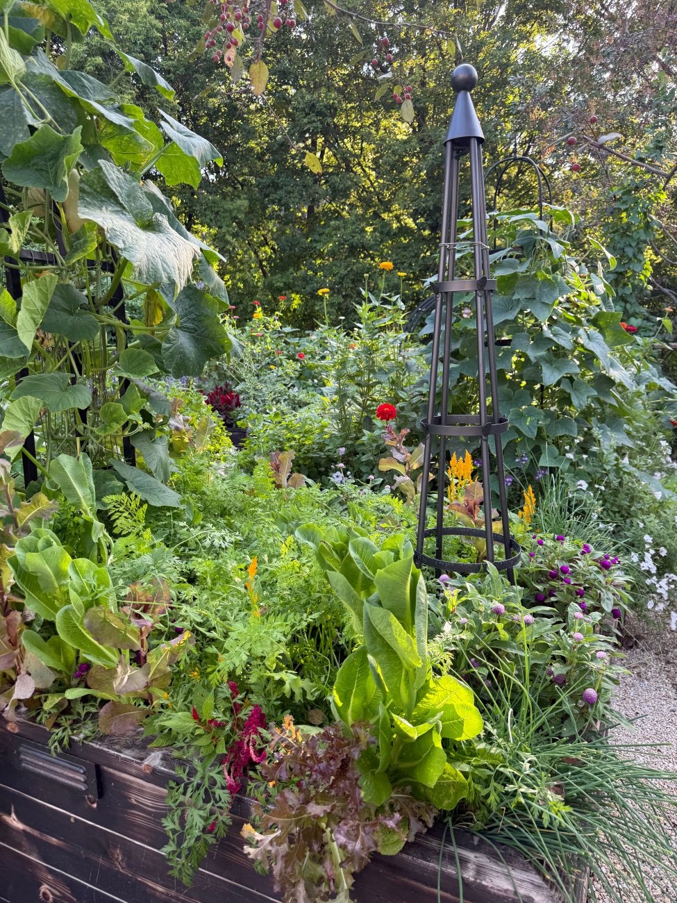 Black metal obelisk rises above densely planted vegetables and flowers in a raised-bed garden