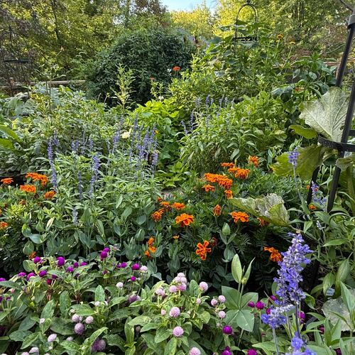 Amy’s Abundant Edible and Ornamental Garden in Minnesota - Fine Gardening