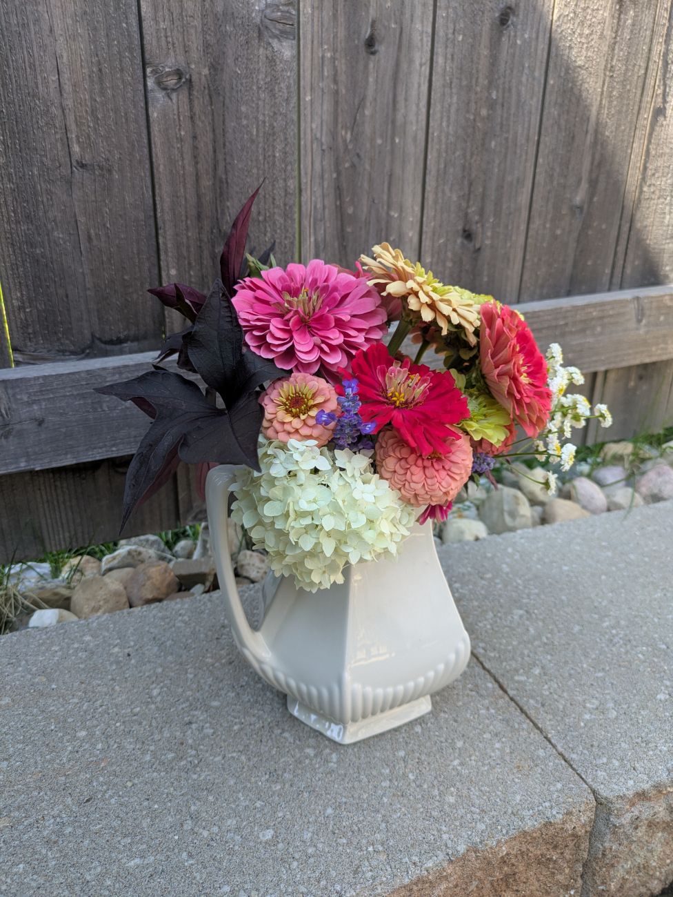 Pink and peach zinnias, white hydrangea blooms, and dark foliage arranged in a vintage white Ironstone pitcher.