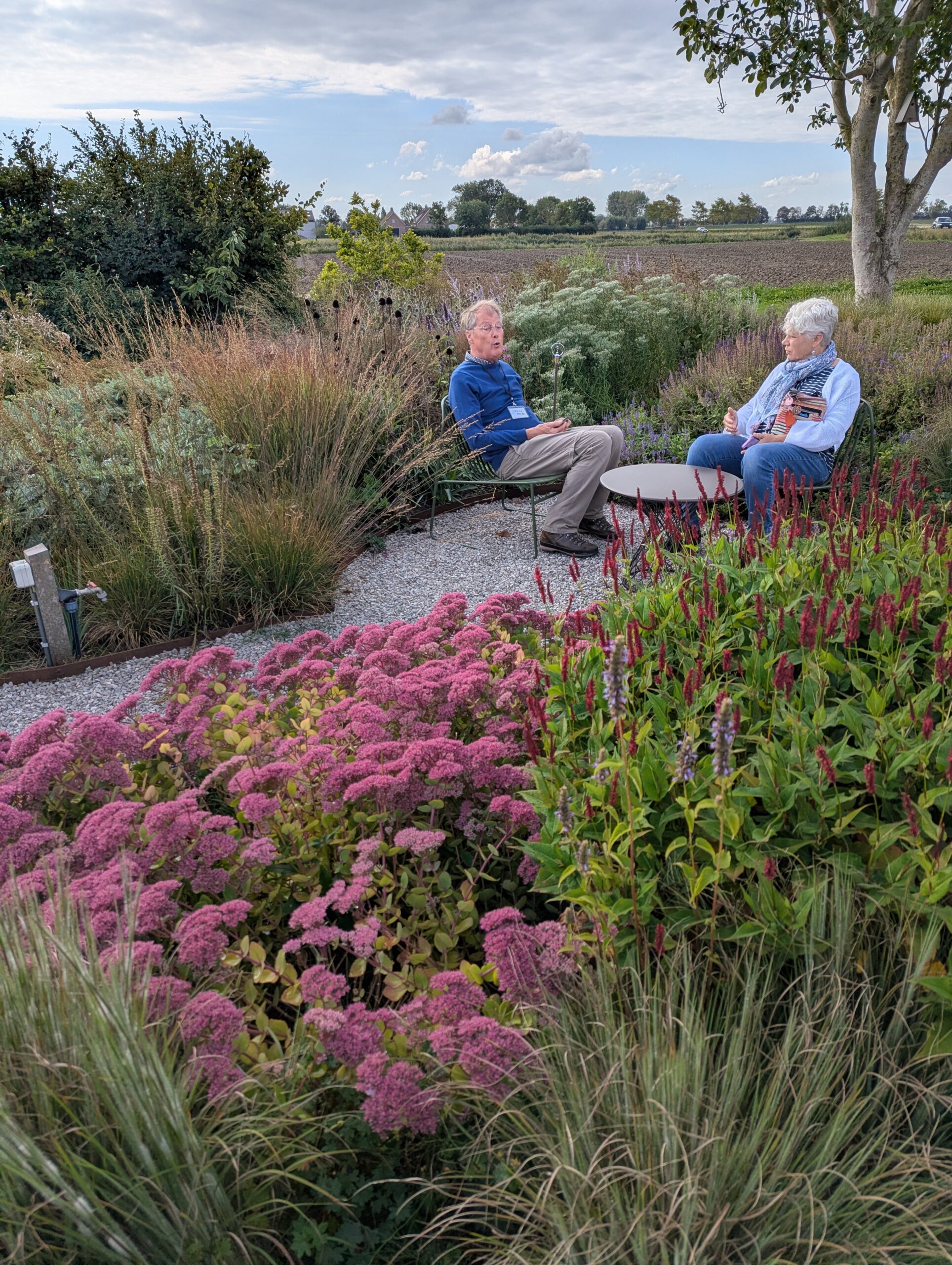 two garden visitors seated and talking beside pink sedum and red persicaria