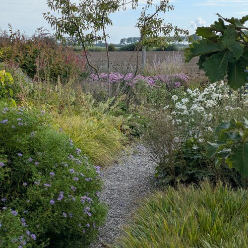 A Dutch Garden in Bloom: Tom DeWitte's Netherlands Garden - Fine Gardening