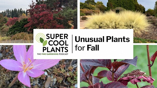 The Hanging Gardens of New Jersey - Fine Gardening