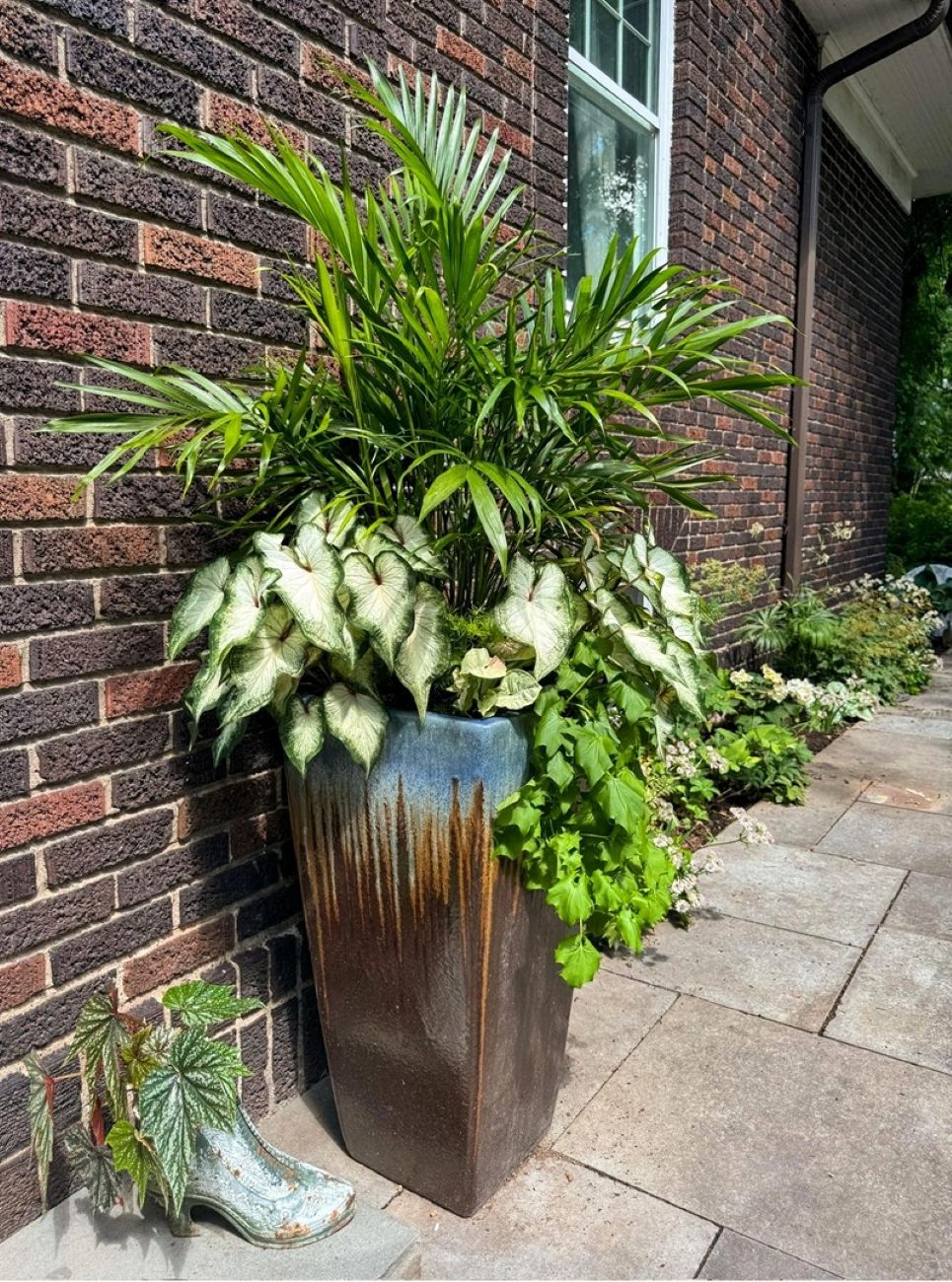 Green and white container planting, patio garden, shade garden, brick wall, foliage plants