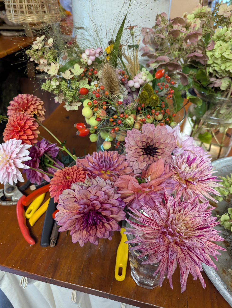 dahlias, hydrangeas, rose hips, berries, seedheads, grasses, cut flowers, floral arranging materials
