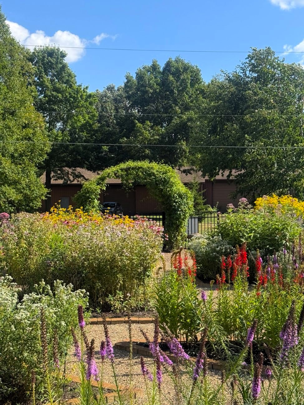 purple blazing star, native perennial beds, gravel paths, vine-covered garden arch