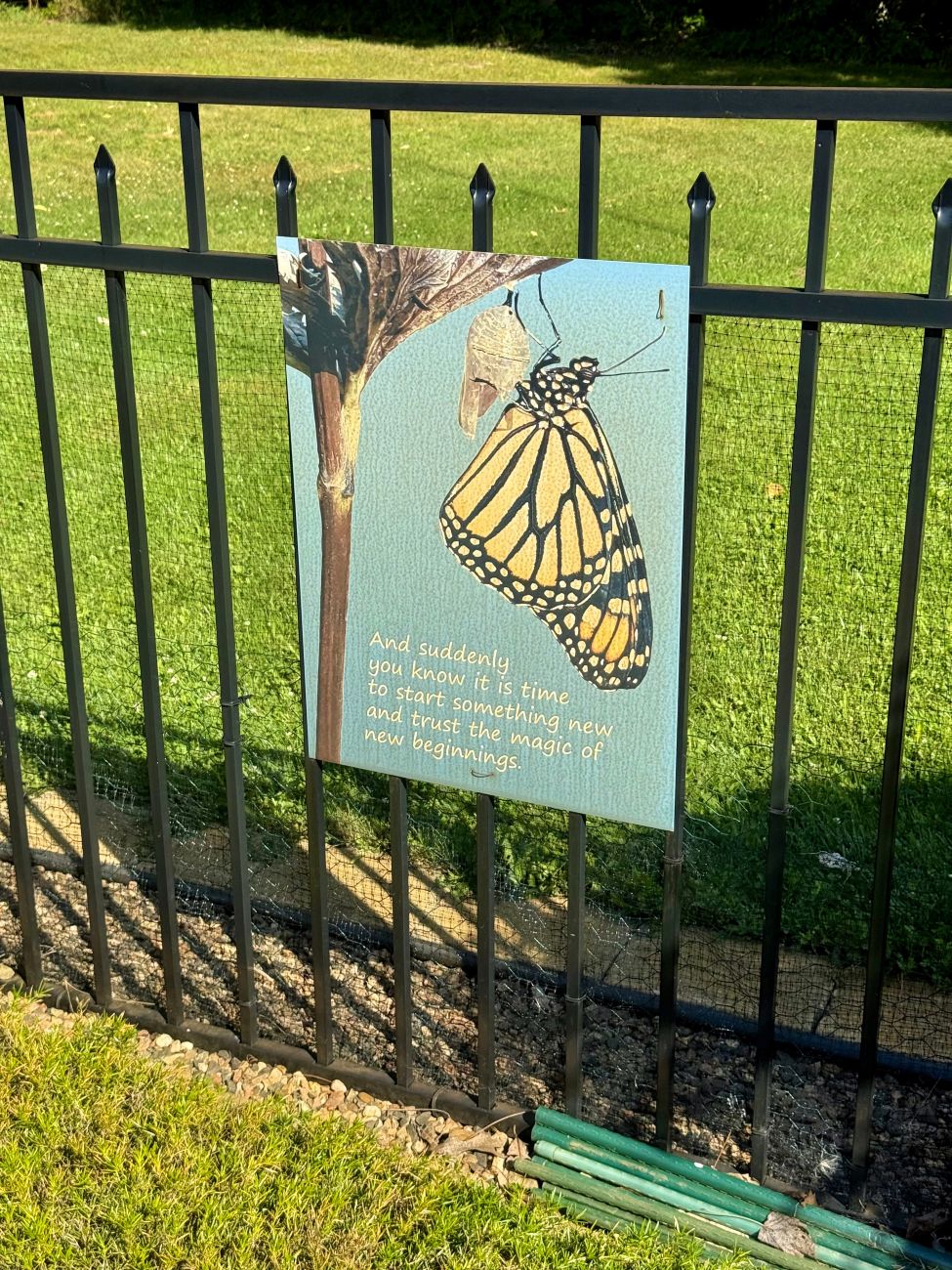 monarch butterfly emerging from chrysalis, inspirational garden sign, black metal garden fence