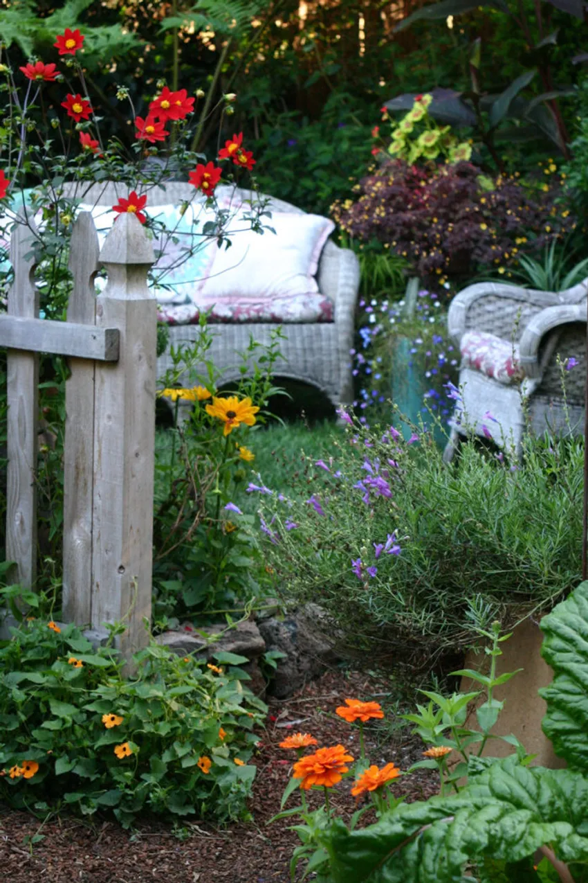 Oakland California garden, lush garden plantings, garden design, Tom Nelson garden, Randy Bolin garden, first Garden Photo of the Day