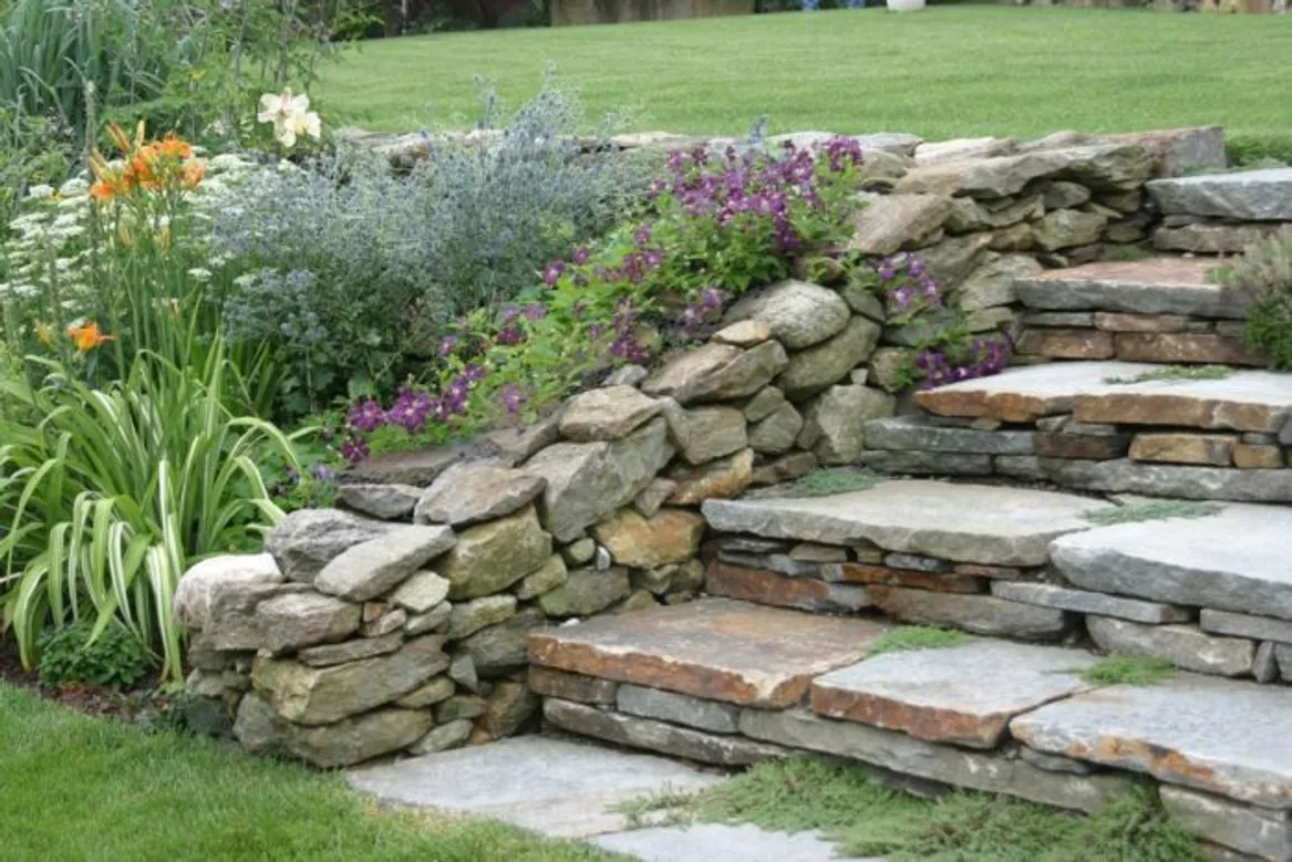 clematis sprawling over chicken wire, stone garden wall, stone steps, flowering perennial border, South Kent Connecticut garden