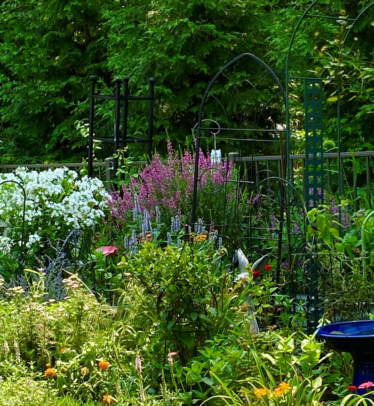 mixed perennial border, lythrum, white garden phlox, bush clematis, agastache, Russian sage, purple blue and white flowers, Dot’s Pennsylvania garden