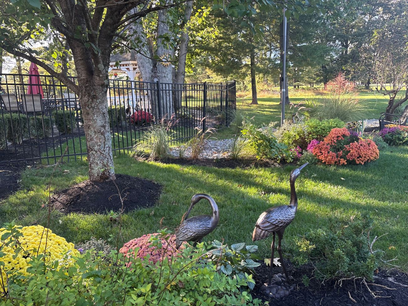 backyard garden, crane sculptures, garden mums, ornamental grasses, mature trees, curved garden beds, Readington New Jersey garden