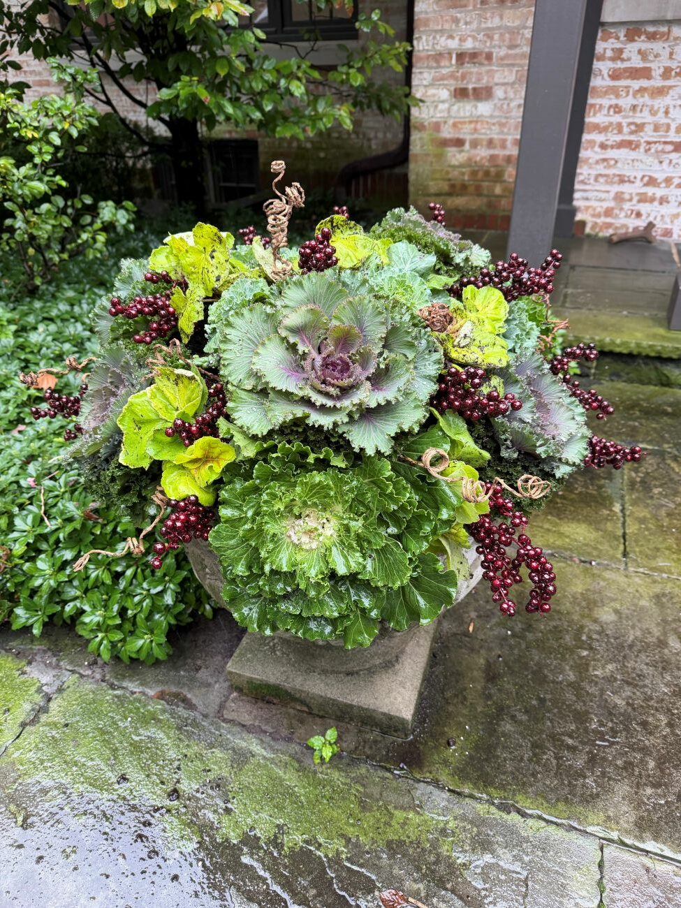 Large fall urn filled with ornamental cabbage and kale, burgundy foliage, chartreuse greenery, and decorative branches, fall container, container plants, fall garden