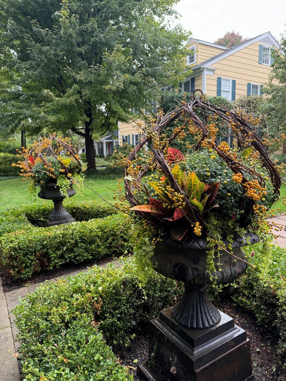 Autumn garden urns, croton foliage, golden berries, arching decorative branches, trailing greenery, formal front garden, fall container design