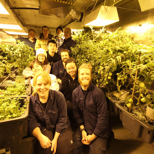 From the GPOD Archives: Gardening in Antarctica - Fine Gardening