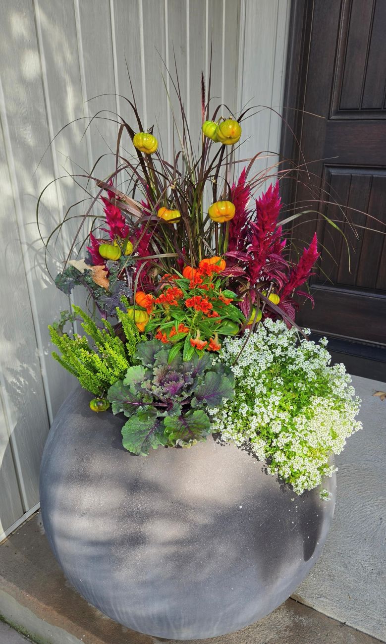 Round gray fall planter, ornamental grasses, magenta celosia, orange pumpkins-on-a-stick, white alyssum