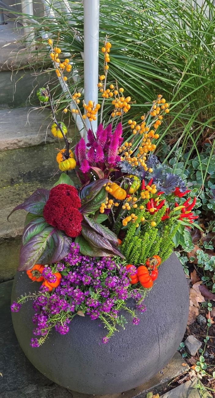 Small round fall container, yellow winterberries, orange pumpkins-on-a-stick, purple alyssum, ornamental kale