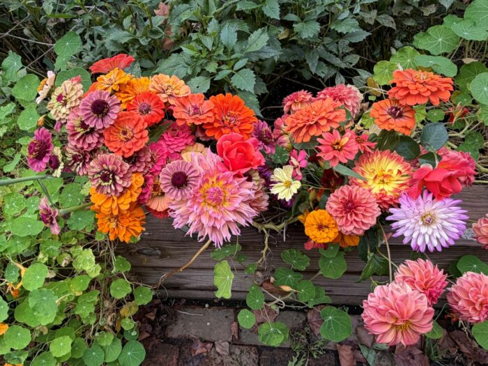 One Last Harvest from Ellen’s Cutting Garden - Fine Gardening