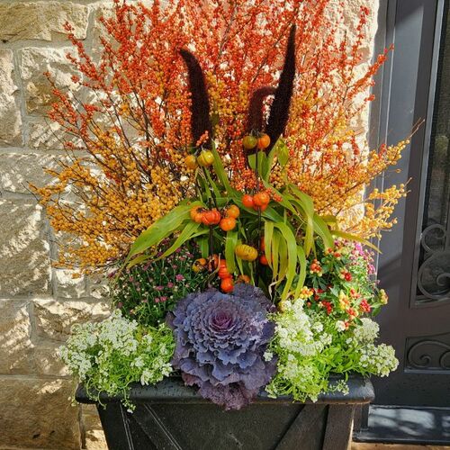 Autumn side-entry container, orange and yellow winterberries, chartreuse millet, pumpkins-on-a-stick, ornamental peppers, white alyssum