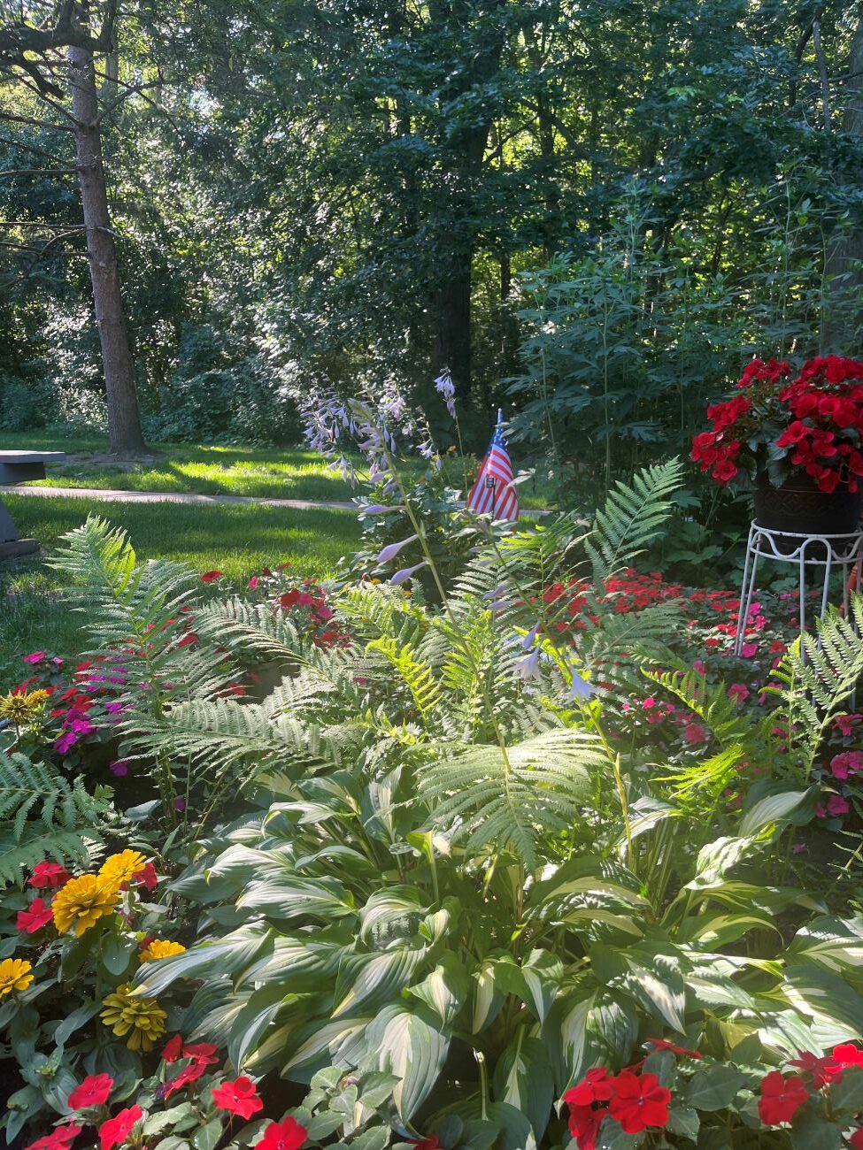 Shaded backyard garden, variegated hostas, green ferns, flowering impatiens, lawn, Michigan perennial garden