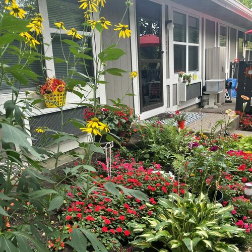 Seana's Happy Place in Michigan - Fine Gardening