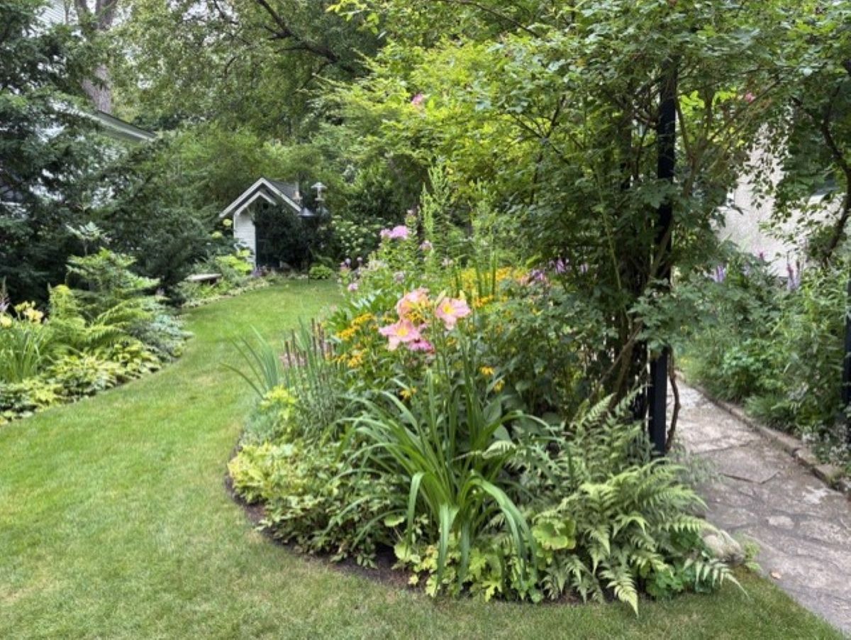 Minnesota side yard garden, blooming daylilies, pink garden phlox, purple coneflowers, yellow black-eyed Susans, blazing stars, curved green lawn