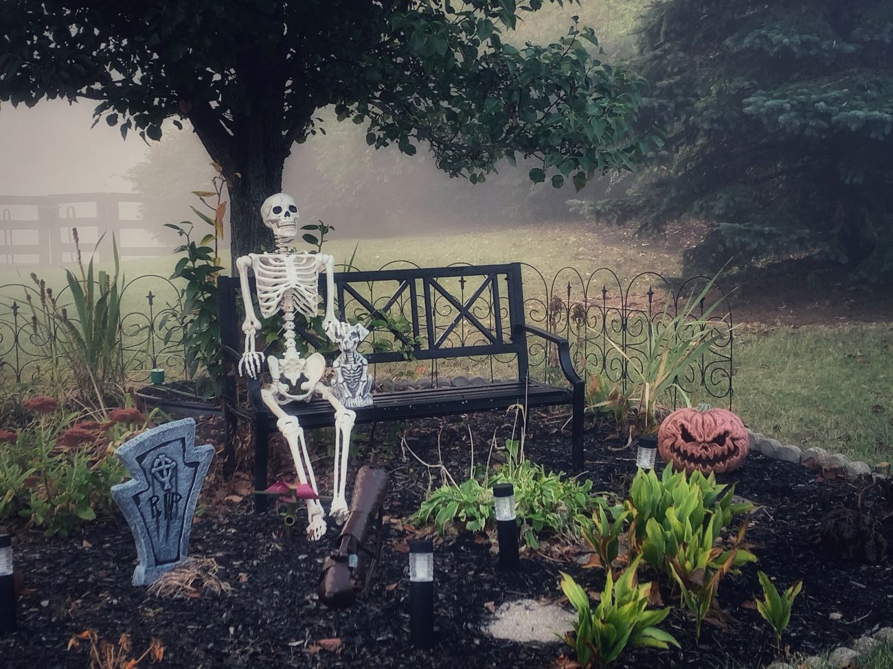 skeleton Halloween decoration, garden seating, spooky garden, Halloween display, garden decor